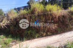 Đất lớn tô hiến thành phường 3 thích hợp phân lô