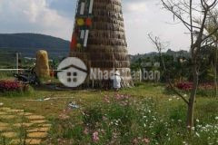 Sở hữu nhanh lô đất lớn 8000m2 có hồ, có view, có sân vườn tại tà nung, đà lạt