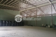 Cần cho thuê dài hạn nhà xưởng trong kcn vinatex tân tạo, huyện nhơn trạch, tỉnh đồng nai