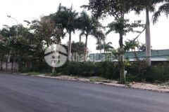 Bán nền biệt thự góc 2 mặt tiền trục chính khu biệt thự cồn khương, vị trí đẹp, giá tốt.