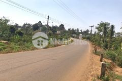 Ban 2,1ha cây ăn trai,full thô cư 60,2 măt tiên dai gia re