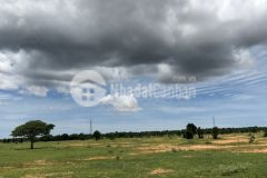 Bán đất hồng thái diện tích 7425m2 sổ hồng riêng, công chứng ngay