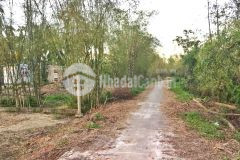 Đất kiệt ô tô phường thủy phương, 80m2 chỉ 710 triệu