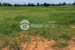 Bán 9284m2 đất nông nghiệp bình thuận sổ sẵn có đường nhà nước giá 696tr lh 0938677909 hiền