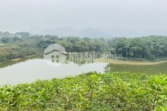 Bán đất cư yên lương sơn hoà bình dt4000m có 400 đất ở, bám hồ rộng siêu hiếm, giá vip.