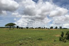 Bán đất vườn nông nghiệp bình thuận sổ hồng sẵn công chứng ngay