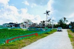Đất kqh tây trì nhơn mới đấu giá đầu tư