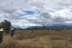 Cần bán lô đất mặt tiền liên huyện. hồng thái, bắc bình