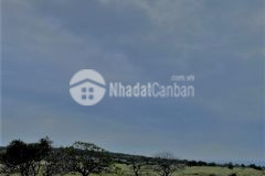 Cần bán đất bắc bình, bình thuận có sổ đỏ sẵn, giá chỉ từ 70.000đm2 bao sang tên