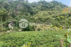 Bán đất cao dương lương sơn hòa bình dt 2000m có 300 đất ở, view núi đá tuyệt đỉnh.