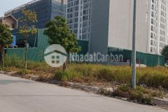 Bán đất vị trí cực đẹp, tuyến phố kinh doanh, khu vực đẹp nhất nhì lạc hồng phúc, giá rẻ lh 083545