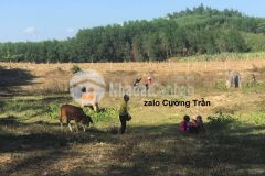 Bán đất giáp suối đường oto 1ha2 xã khánh phú giá rẻ lh 0788.558.552