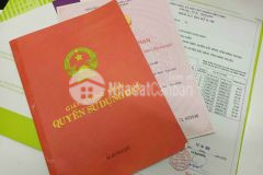 Bán lô đất vườn bình thuận 9185m2 giá chỉ 70.000đm2, đón đầu cao tốc, sân bay phan thiết.