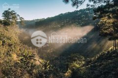 Cần bán lô đất đầu tư p5 vị trí vạn thành, đà lạt