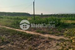 Cần thanh lý gấp đất bời lời tp. tây ninh giá 2trm2