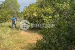 Bán lô đất 2 mặt tiền siêu đẹp nằm ngay ngã tư liên huyện liên xã, hồng thái