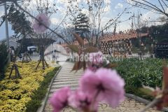 Lô đất mặt tiền 100m có 1200m2 thổ cư mặt đường điện biên phủ