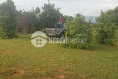 Bán 12,084m2 đất nông nghiệp hồng thái, vuông đẹp gần đường liên huyện chỉ 90km2 lh 0938677909 hiền