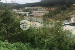 Đất xây dựng t21 an sơn view hồ mật độ 80 96m p4 đà lạt ngọc anh bđs