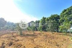 Cần bán gấp 4.784m2 đất thổ cư view đẹp tại lương sơn, hòa bình.