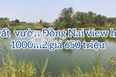 Đất vườn đồng nai gần khu công nghệp sông mây. 650 triệu 1032m2.