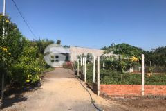 Bán gấp trong tuần chỉ 180 tr 116 m2 sát bên kcn hưng lộc