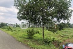 Bán 50m mặt tiền đường xuân tây, cẩm mỹ giá 9 tỷ, có thổ cư.