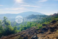 Đât bao lâm gia re view nghi dương 1,5trm2, lên thô gia re,