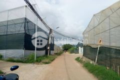 D919 cần bán đất đường trần văn côi phường 5 tp đà lạt.