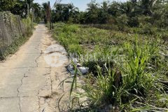 Đất nền đạo thạnh mỹ tho, tg