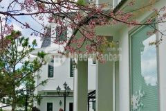 Bt96 chuyển nhượng biệt thự sân vườn vip khu du lịch nam hồ tp. đà lạt