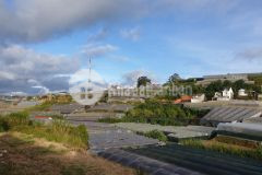 Nhà nam hồ, phường 11, thành phố đà lạt liên hệ tư vấn mrs hiền 0917 494 166 mr quý 0914 003 166