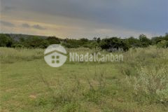 Cơ hội đầu tư đất bình thuận giá chỉ 400 triệu 5000m2, sổ riêng từng lô