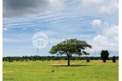 Chỉ còn 1 siêu phẩm duy nhất cách đường liên huyện chỉ 50m gía cực hot