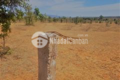 Đất nông nghiệp bắc bình, bình thuận đã có sẵn sổ giá chỉ từ 75 ngàn m2