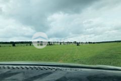 Chính chủ gửi bán lô đất vuông vức siêu hiếm, có mặt tiền trên sổ cách đường liên huyện chỉ 200m