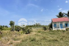 Bán 410m2 đất trồng cây lâu năm tại bình thuận, công chứng trong ngày, 500tr. lh0948581879