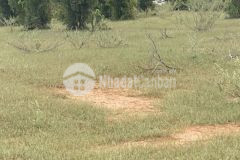 Chính chủ bán gấp 7021m2 đát vườn gần biển hòa thắng. liên hệ