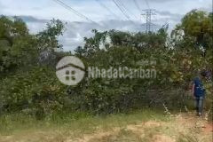 Bán lô đất bình thuận view biển thích hợp xây khách sạn, resot sổ hồng trao tay