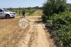 Bán 9285m2 đất nông nghiệp hồng thái vuông đẹp gần đất rạng đông chỉ 650tr lh 0938677909 hiền