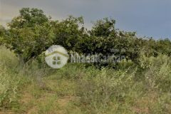 Bán lô đất bình thuận view biển thích hợp xây khách sạn, resort