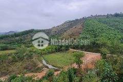 Cơ hội sở hữu cho các nhà đầu tư 30ha đất rừng sản xuất rẻ đẹp tại kỳ sơn, hòa bình.