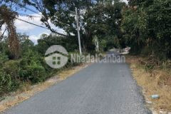 Nhà vườn cam hải tây ngay khu hành chính huyện cam lâm diện tích 584m2 giá đầu tư 2,5 tỷ