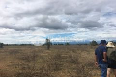 Cần bán vài lô đất đẹp hồng thái, bình thuận, sổ đỏ sẵn, bao sang tên, giá từ 70 nghìnm2