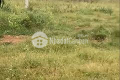 Bán đất bình thuận vuông vức giá 60km2 sổ hồng trao tay