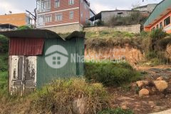 D923 cần bán gấp lô đất hẻm ô tô ngô thì sỹ phường 4 tp đà lạt.