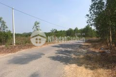 Bán đất cây lâu năm chỉ 200km2 có 2 mặt tiền đường nhựa giá rẻ