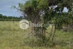 Bán đất thị trấn chợ lầu cách biển 4km diện tích 2860m2 công chứng ngay