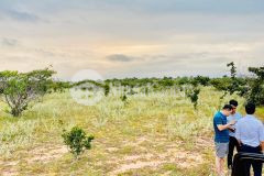 Duy nhất 1 lô đất thị trấn chợ lầu 2886m2, cách biển 3.5km, liên hệ 0937251240