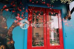 Chủ cần bán gấp căn chung cư phường 2 đà lạt